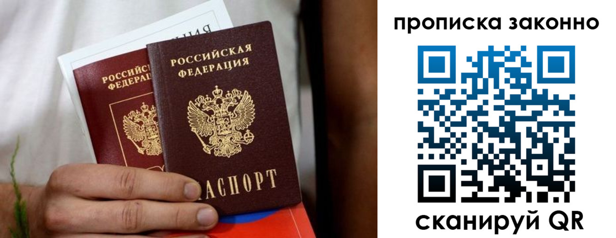 прописка в Алексине